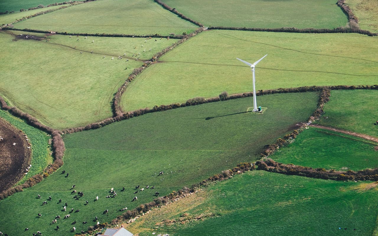 Boost Sustainability Initiatives With These 4 Digital Solutions